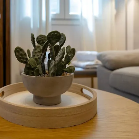 Gimispacefive Compact In Center Easy Living Appartement *